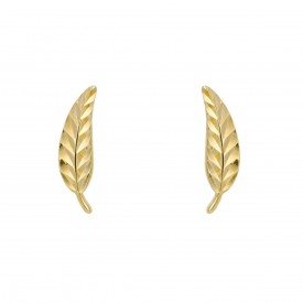 Yellow Gold Feather Stud Earrings