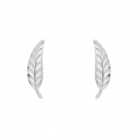 White gold Feather Stud Earrings