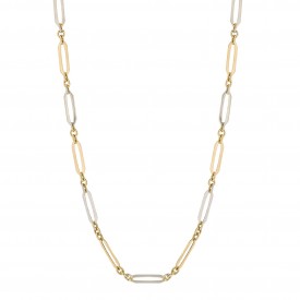 Yellow and White Gold Elongated Link chain