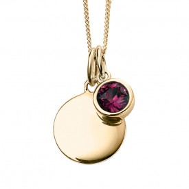 Gold Plated Crystal Birthstone Necklace (February - ametyst)