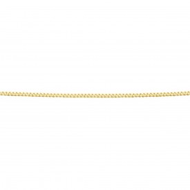 Gold Plated Curb Chain with extender 51-56cm