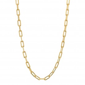 Gold Plated Link Chain Necklace with charm carrier