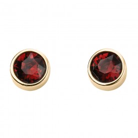 Jan Birth Stone Earring