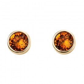 Nov Birth Stone Earring