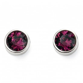 Feb Birth Stone Earring