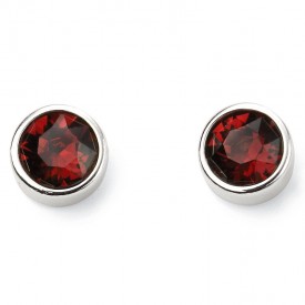 Jan Birth Stone Earring