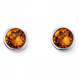 Nov Birth Stone Earring