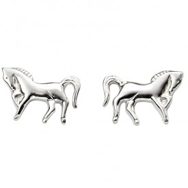 horse studs