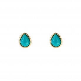 Gold plated Birthstone Earrings  December Turquioise