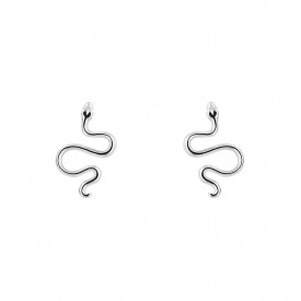 Snake Stud Earrings