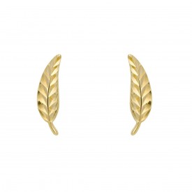 Yellow Gold Feather Stud Earrings
