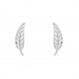 White gold Feather Stud Earrings