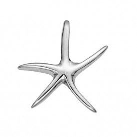 Small starfish pendant