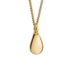 Gold plated TAG ONLY