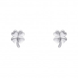 Sterling silver Earings