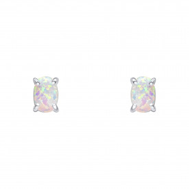 Sterling silver Earings