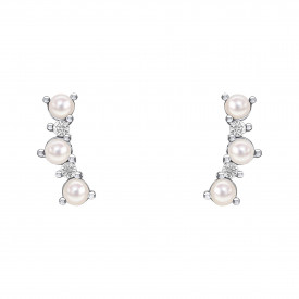 Sterling silver Earings